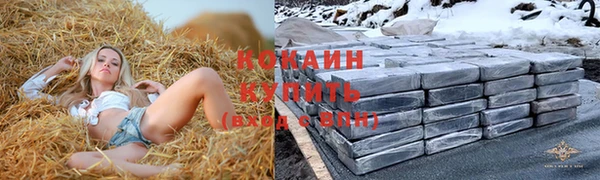 эйфоретик Алексин