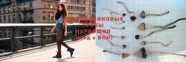 эйфоретик Алексин